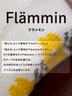 NьC `24.5cm fB[X MTCY ӂӂ t~ Flammin N C   \bNX  k k k   IV  킢 JCC 蕨 v[g Mtg H ~ 178-7285 2024N